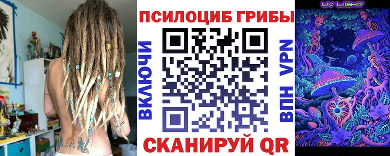 Псилоцибиновые грибы мицелий  Купить где  Сольвычегодск 